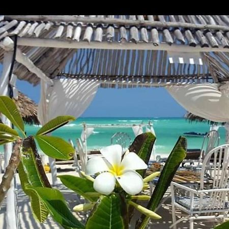 Luxury Simba House In Watamu ☆☆☆☆☆ 아파트 외부 사진