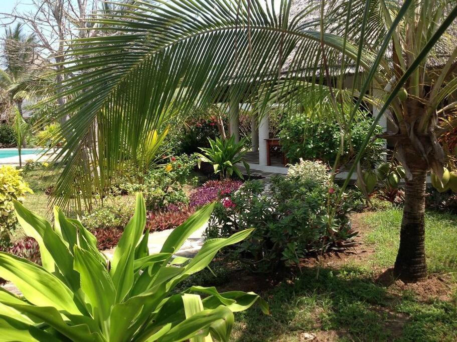 Luxury Simba House In Watamu ☆☆☆☆☆ 아파트 외부 사진